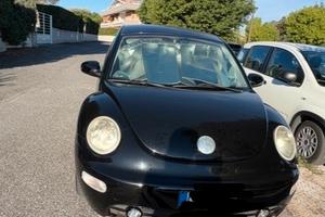 New beetle