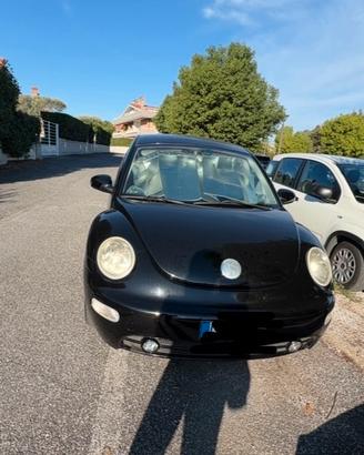 New beetle