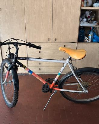 Mountain Bike anni ‘90