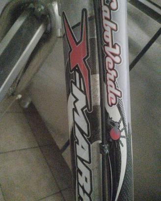 bici da donna con le marce senza canna