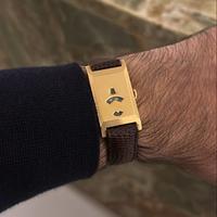 Juvenia salterello jumping hours 18kt