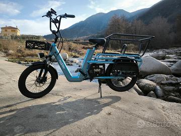 ebike cargo nuove su ordinazione 