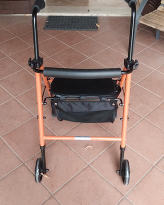 Deambulatore 