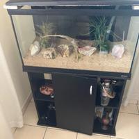 acquario 