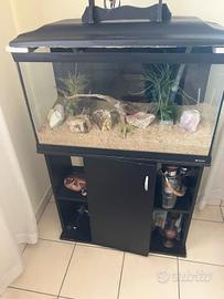 acquario 