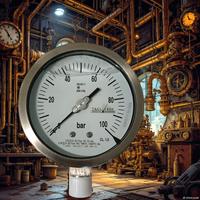 Manometro industriale 