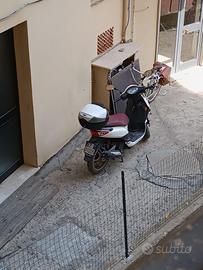 sym synphony 
