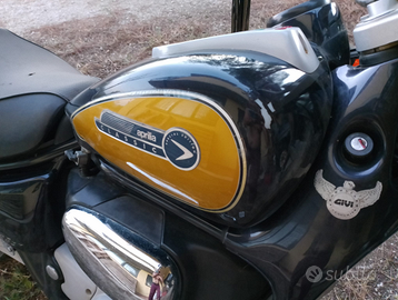 Aprilia Red Rose Classic