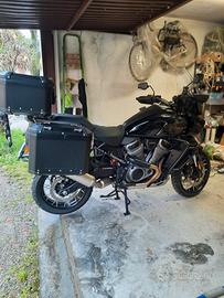 Harley-Davidson Pan America 1250 - 2024