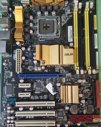 Scheda Madre Asus P5Q