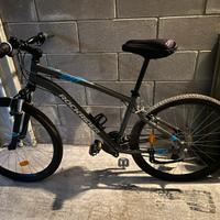 Bicicletta mountain bike rock rider
