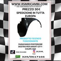 PARAFANGO POSTERIORE DESTRO SMART 450