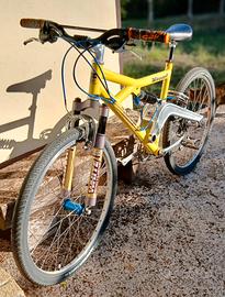 Mountain bike da collezione