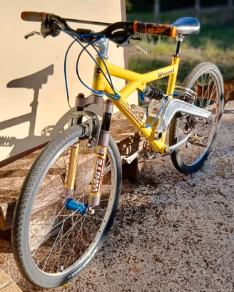 Mountain bike da collezione