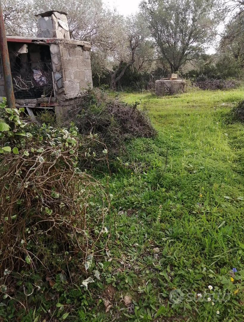 ULIVETO USINI - Vista 3