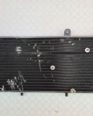 RADIATORE ACQUA APRILIA CAPONORD 2003 2002 1000 20