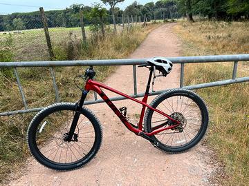 Trek Roscoe 9