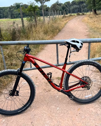 Trek Roscoe 9