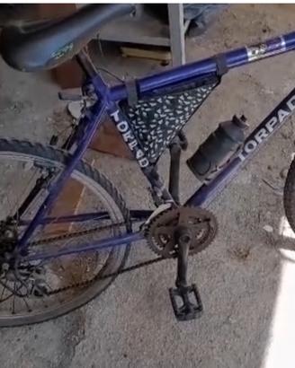 Bicicletta mountain bike TORPADO