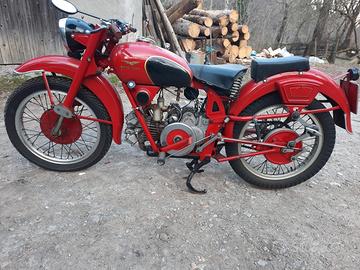 Airone Guzzi