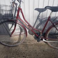 Bici donna accessoria