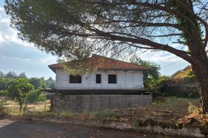 Rif. 972 struttura con terreno