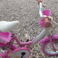 Bicicletta Bambina Dino Bike