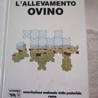 L'Allevamento Ovino -Assonapa
