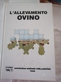 L'Allevamento Ovino -Assonapa
