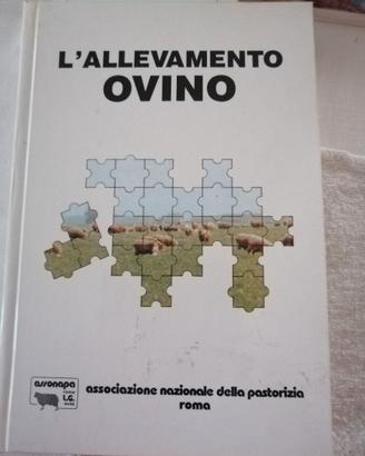 L'Allevamento Ovino -Assonapa