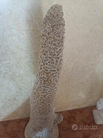 corallo fossilizzato decorativo  o collezionismo 