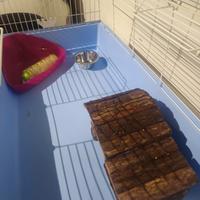 Gabbia Grande per Conigli Cavie Criceti accessori