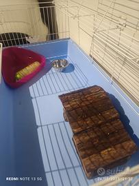 Gabbia Grande per Conigli Cavie Criceti accessori