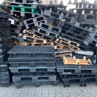 Pallet in plastica