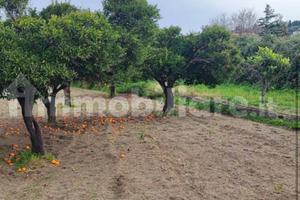 Terreno edificabile zona C2 accanto strada