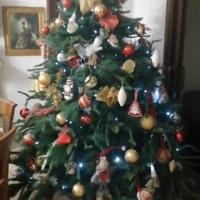 albero di natale nuovo