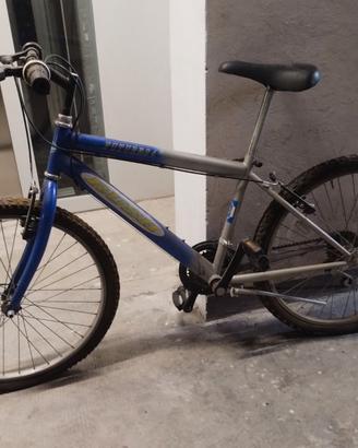 Bicicletta per ragazzo