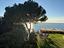 Immagine 14