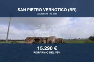 Immobile in asta di 31980 m² a San Pietro Vernotic