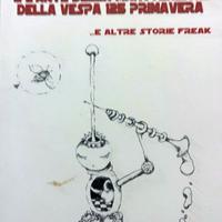 Lo Zen e l'arte della manutenzione della vespa 125