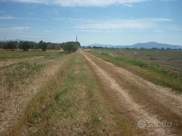 Terreno agricolo periferia grosseto