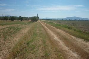 Terreno agricolo periferia grosseto