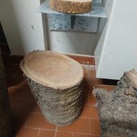 tronchi di albero