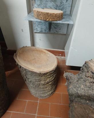 tronchi di albero