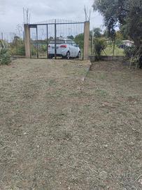 Terreno panoramico