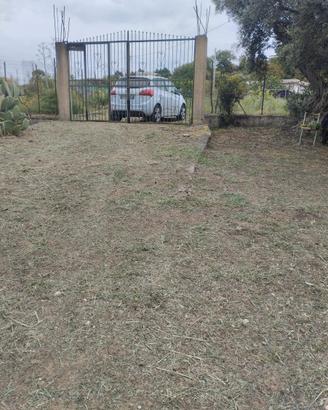 Terreno panoramico
