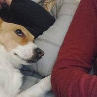 Kikka 2 anni