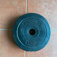 4 dischi 1.25 kg palestra