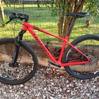 Mountain bike Wilier