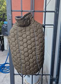 Giubbottino cane taglia grande
